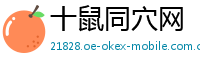 十鼠同穴网